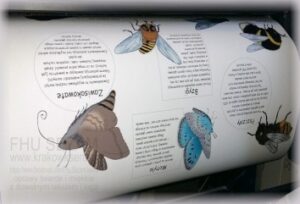 Poster A1 plakat naukowy