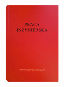 czerwona malina praca inżynierski 1