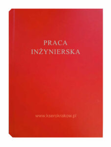 czerwona malina praca inżynierska 1