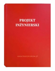 czerwona malina projekt inżynierski 2
