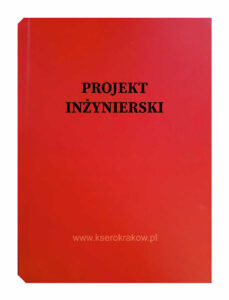 czerwona malina projekt inżynierski