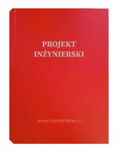 czerwona malina projekt inżynierski 1