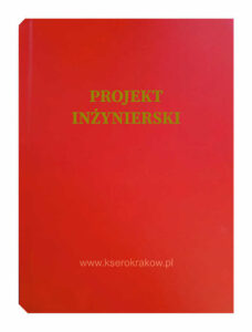 czerwona malina projekt inżynierski 3
