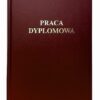 praca dyplomowa borbowa