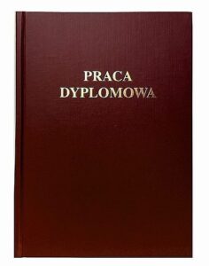 praca dyplomowa borbowa