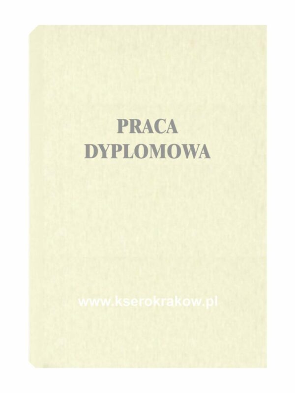 praca dyplomowa 2
