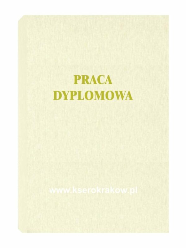 praca dyplomowa 1