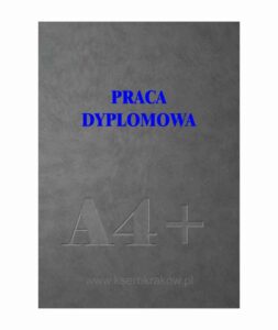 praca inżynierska 2