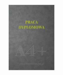 praca inżynierska 1
