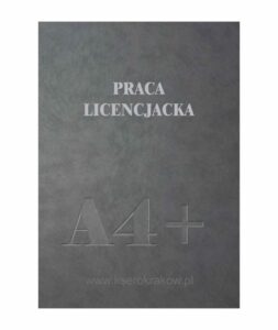 praca inżynierska 4