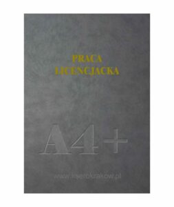 praca inżynierska 3