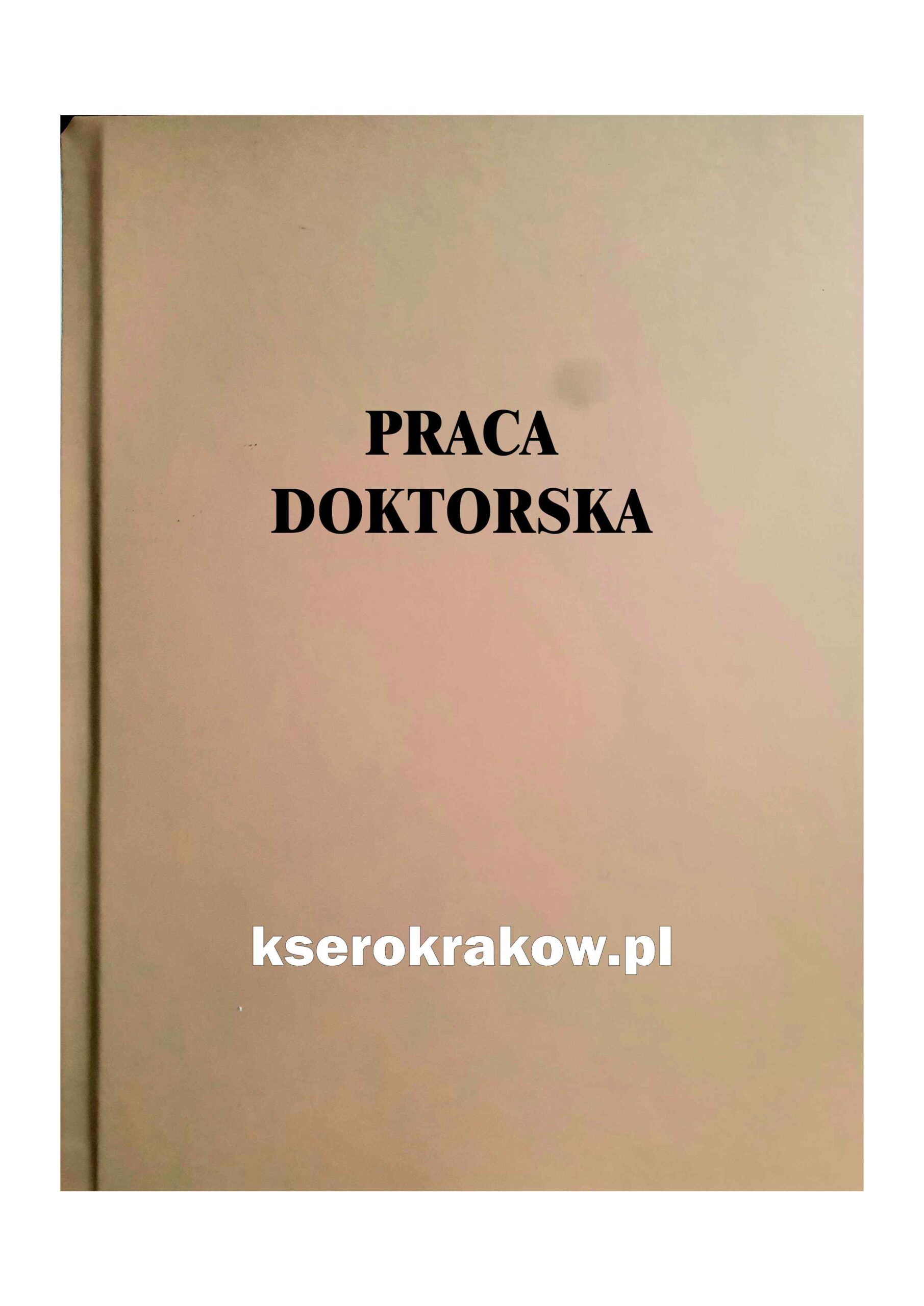 praca doktorska beżowa