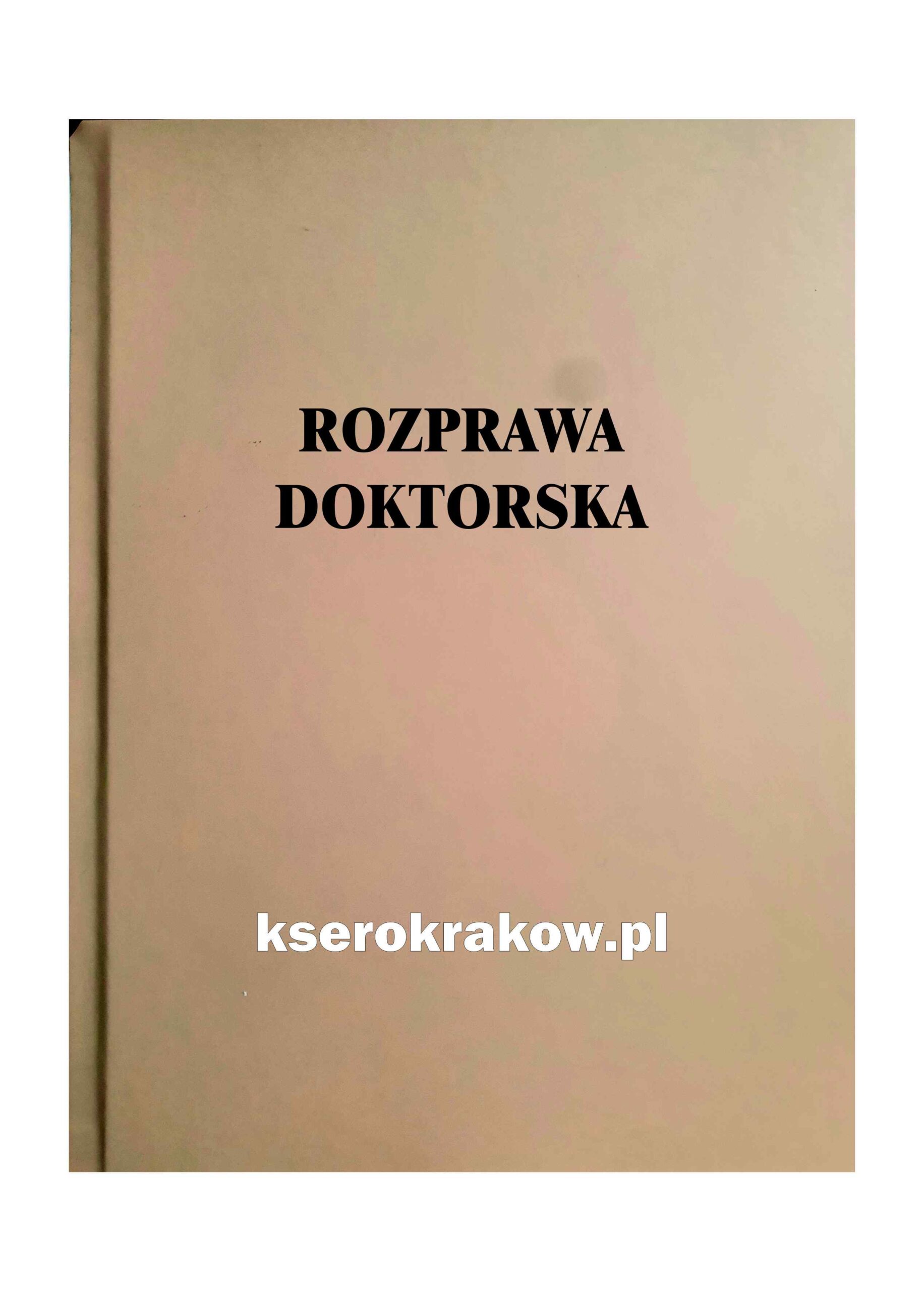 rozprawa doktorska