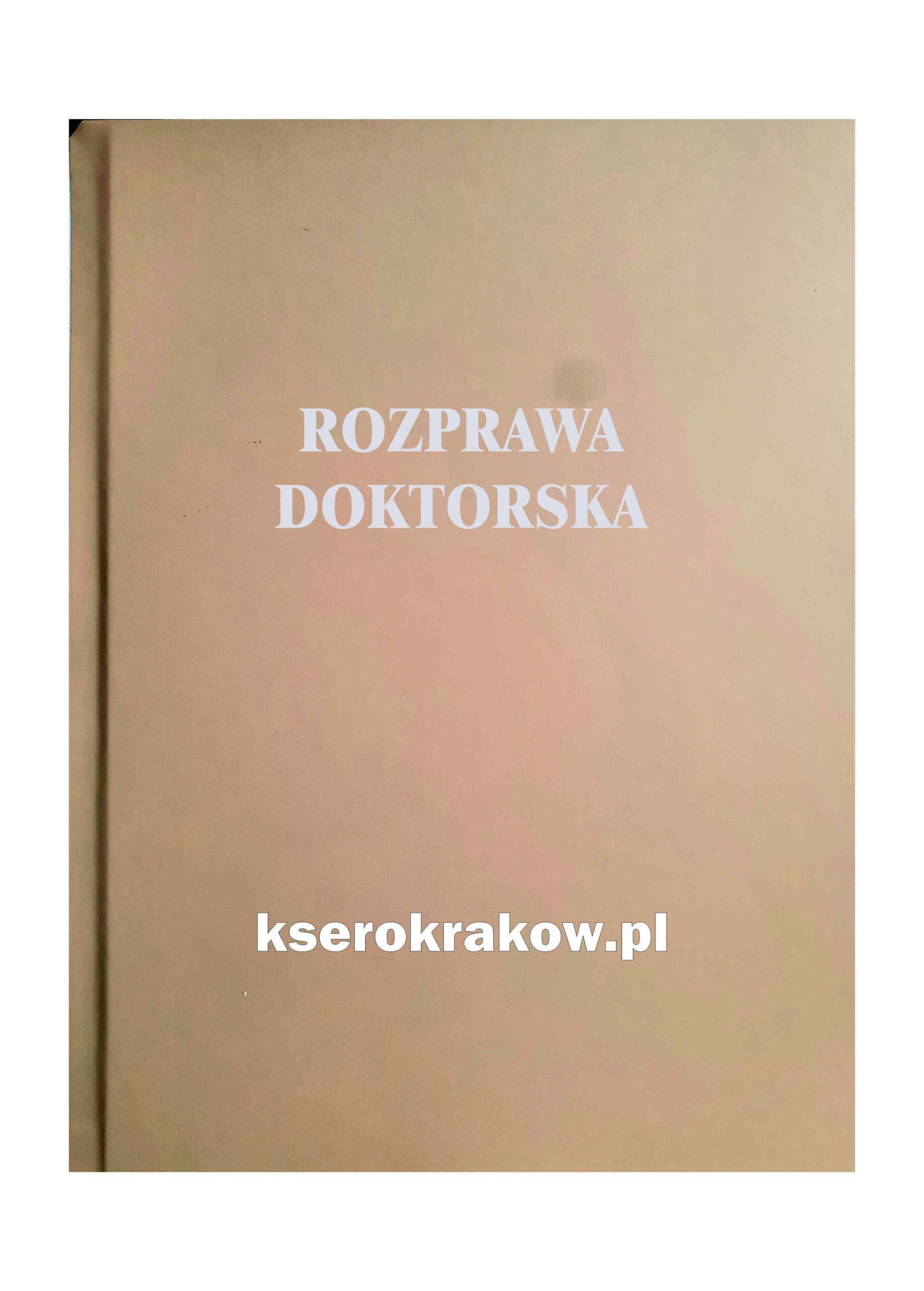 Okładka beżowa ze srebrnym napisem rozprawa doktorska