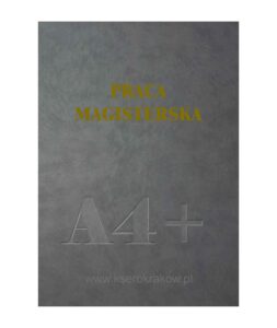 praca-magisterska